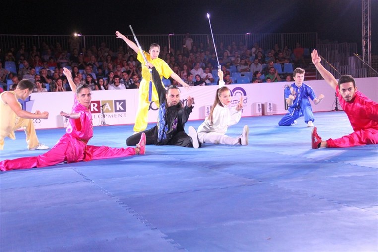 Martial Arts Festival